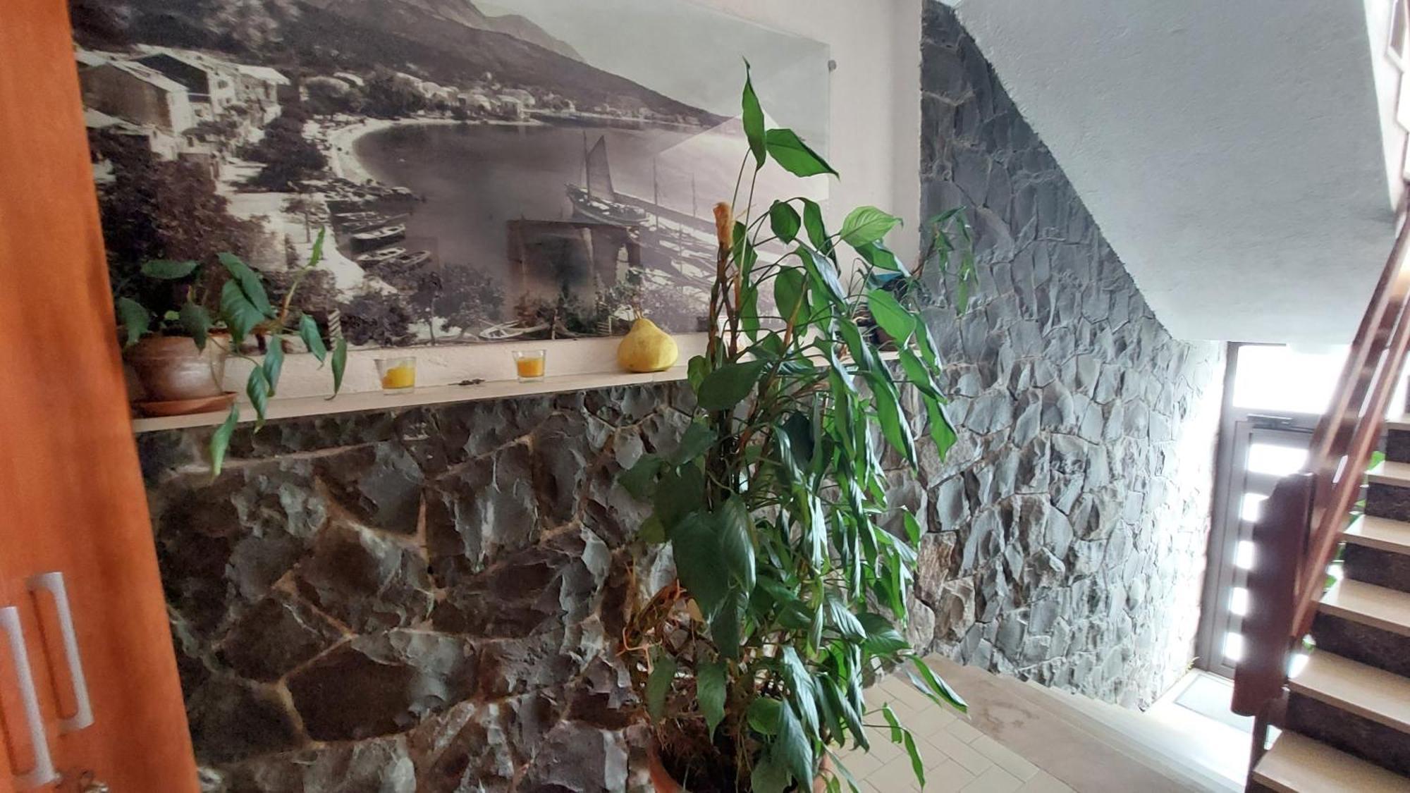 Haus Sonja Διαμέρισμα Podgora Εξωτερικό φωτογραφία